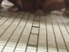 Watching Guys Fuck Under the Stall