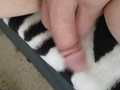 My fresh shaved cock