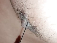 Nipple needle  play and Ants