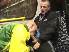 Wolf, fellow, blow-job