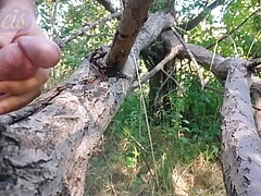 I cum on a tree in the forest