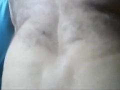 chub bear daddy romp