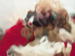 I couldn't rest so dad helped me out [ENGLISH SUBTITLES] (ACCOMPLISH IN CRIMSON)