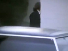 The Dildo Is Your Friend 2