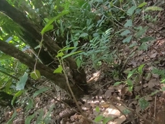 Indian teenage boning lad femboy outdoors