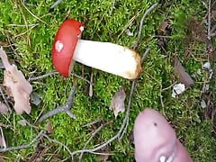 xH_Handy_Spass im Wald from 19.09.21