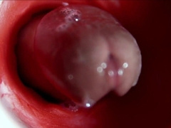 Webcam Porn Clips