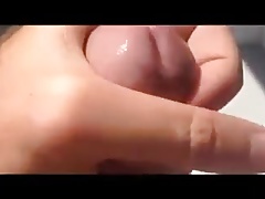 Bear jerking off
