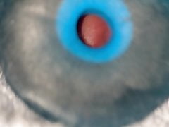 Fleshlight internal cumshot