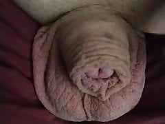My Soft Penis