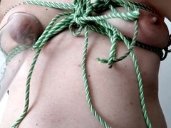 Lush, gay nipple lover, spankbang
