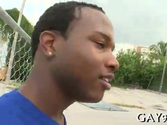 Super-Fucking-Hot milky %26 ebony queer lovemaking