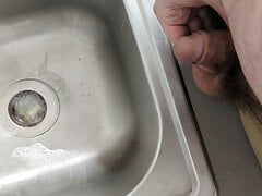 Bear Cub Pissing in the Sink