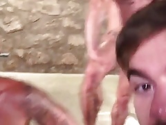 Plenty of cocks
