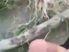 Outdoor Amateur Docking Fun!