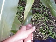 cumming in the field