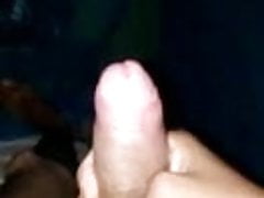 indian cock