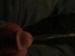 Pee 3
