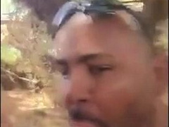 Bear sucking and eating258