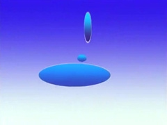 something about dolphin's