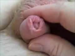 Cum 156