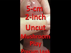 5cm 2inch Uncut Mushroom Play for Precum leaking w live Audio