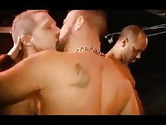 Tim Big Orgy