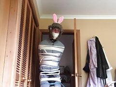 Bondage bunny vibrated