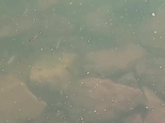 Dude stroking off in nature and fishing