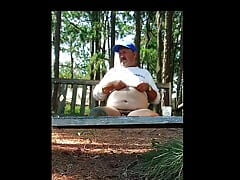 Happy Stump Day Hump Day