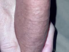Cock play during morning wood and milking the PINGA