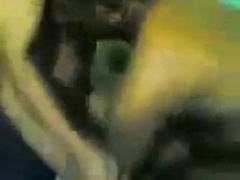 Gay Indo bareback (Top sambil ngerokok) 4