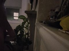 Window real flash to neighbour