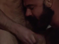 Special Service - Paddy O'brian And Jessy Ares