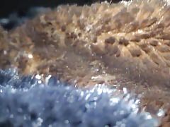 Fur