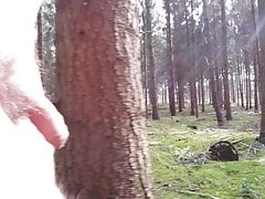 In a quiet wood