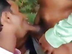 Lankan Forest Gay