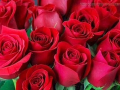 Mature, bangladeshi, big ass