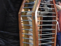 Flogging experience for a sub in that cage