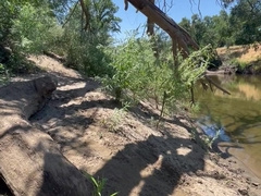 Jerking in public along the sea
