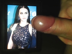 Katy Perry Tribute 11