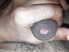 Desi land