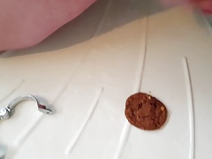 Cum covered chocolate cookie, task for Master roundpound