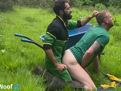 Framer Breeds Chief in the Area