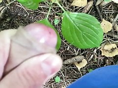 Abspritzen im Wald