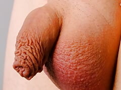 Very close up on small soft uncut penis and foreskin
