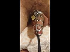 Sounding, CBT by Domina Chloe