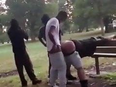 Look what i Filmed in the Park