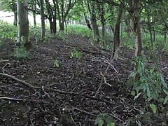 OUTDOOR JOGGING IN VEST NO SHORTS