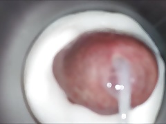 Internal Fleshlight Cumshot